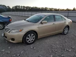 Toyota salvage cars for sale: 2010 Toyota Camry Base