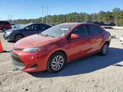 Salvage cars for sale at Greenwell Springs, LA auction: 2019 Toyota Corolla L