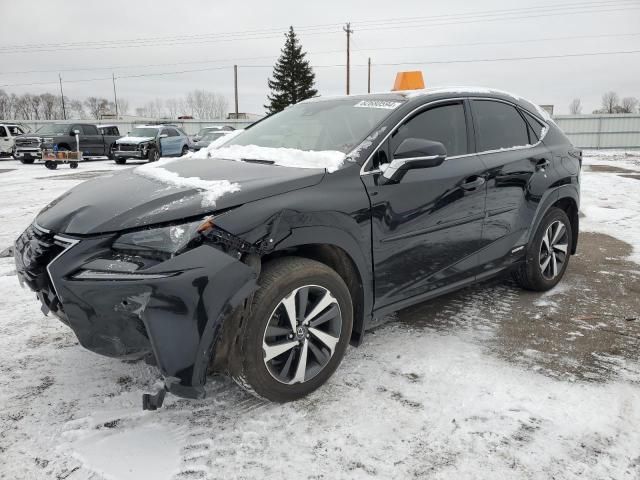 2019 Lexus NX 300H