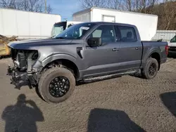 2024 Ford F150 XLT en venta en Hurricane, WV