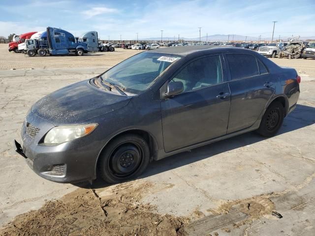 2009 Toyota Corolla Base