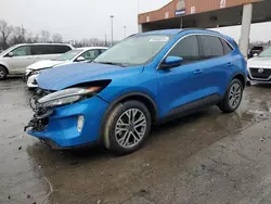 Salvage cars for sale from Copart Fort Wayne, IN: 2020 Ford Escape SEL