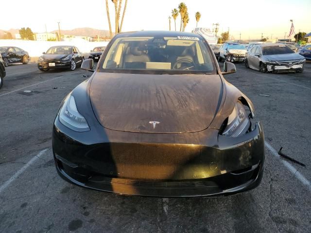 2020 Tesla Model Y