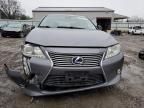 2013 Lexus ES 300H