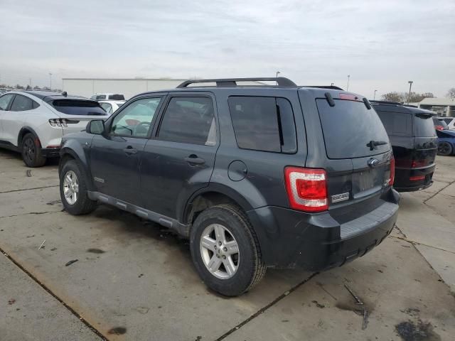 2008 Ford Escape HEV