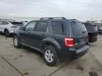 2008 Ford Escape HEV