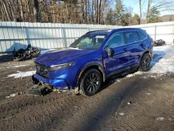 Salvage cars for sale at Center Rutland, VT auction: 2023 Honda CR-V Sport