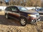 2011 KIA Sorento Base