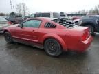 2005 Ford Mustang