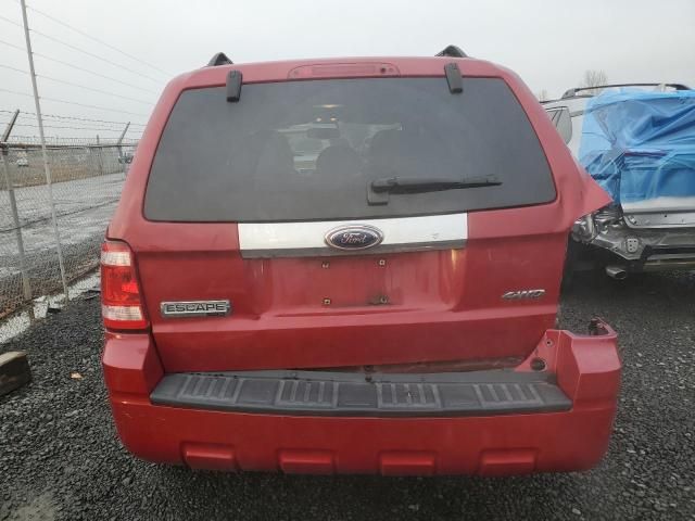 2009 Ford Escape Limited