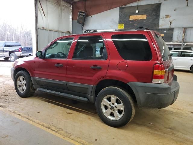 2005 Ford Escape XLT