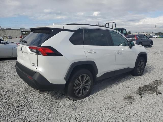 2023 Toyota Rav4 XLE Premium