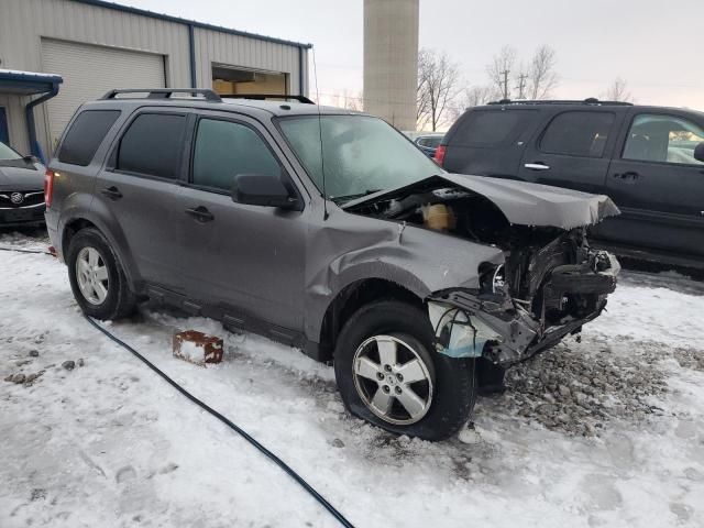 2009 Ford Escape XLT