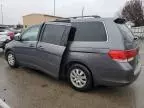 2010 Honda Odyssey EXL