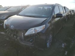 Salvage cars for sale at Brighton, CO auction: 2011 Toyota Sienna XLE