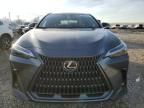 2024 Lexus NX 350H Base