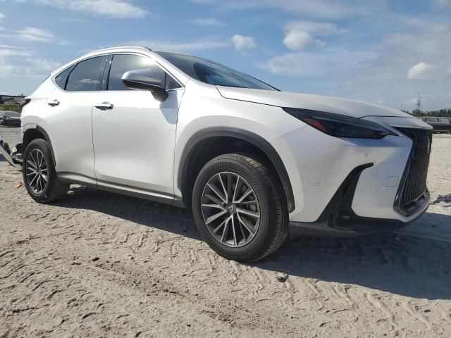 2024 Lexus NX 350H Base