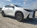 2024 Lexus NX 350H Base