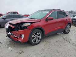 Salvage cars for sale at Wayland, MI auction: 2021 Ford Escape SEL