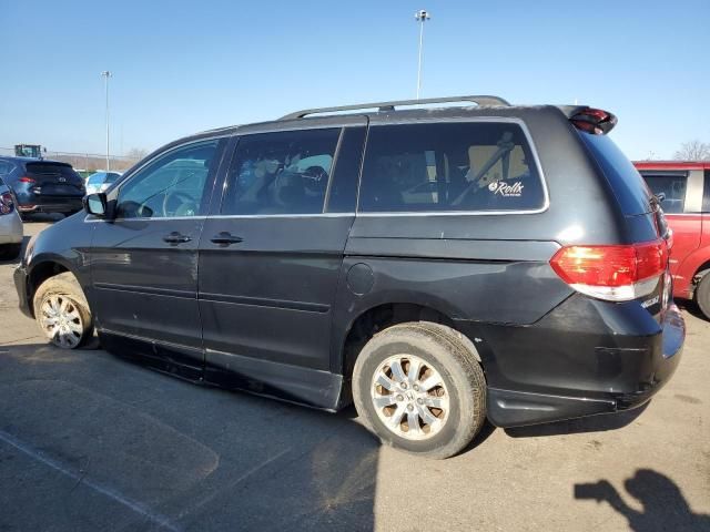 2010 Honda Odyssey EXL