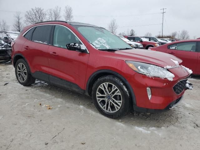 2021 Ford Escape SEL