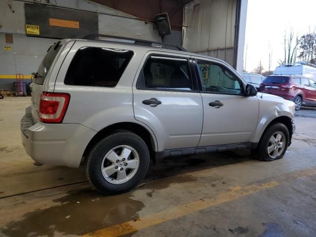 2009 Ford Escape XLT