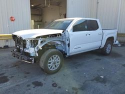 Salvage cars for sale at Martinez, CA auction: 2024 Toyota Tacoma Double Cab