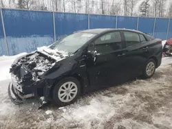 Salvage cars for sale at Moncton, NB auction: 2019 Toyota Prius