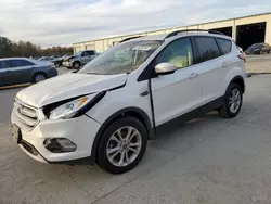 Salvage cars for sale at Gaston, SC auction: 2019 Ford Escape SEL