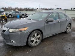 Salvage cars for sale at Pennsburg, PA auction: 2011 Acura TSX