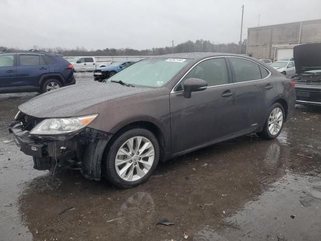 2014 Lexus ES 300H