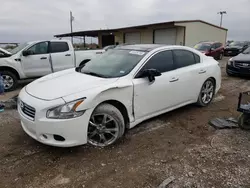 Salvage cars for sale from Copart Temple, TX: 2012 Nissan Maxima S