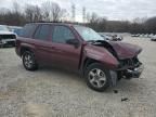 2007 Chevrolet Trailblazer LS