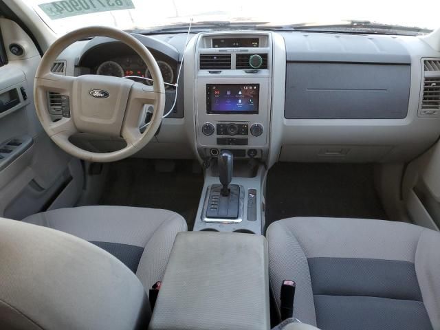 2008 Ford Escape XLT