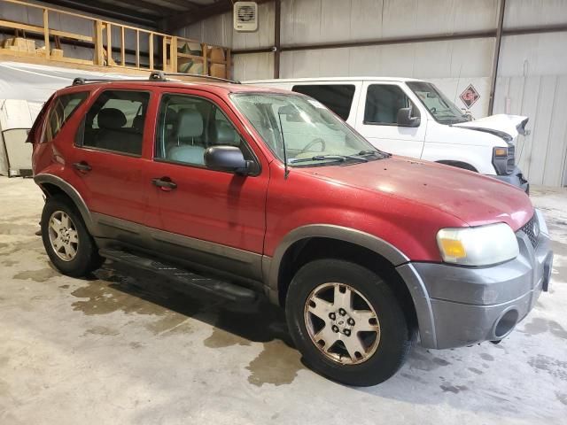 2005 Ford Escape XLT