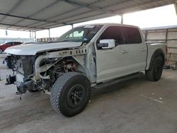 Salvage cars for sale at Anthony, TX auction: 2023 Ford F150 Raptor