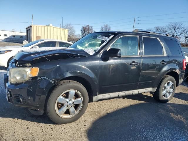 2010 Ford Escape Limited