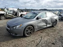 Salvage cars for sale at Lumberton, NC auction: 2014 Nissan Maxima S