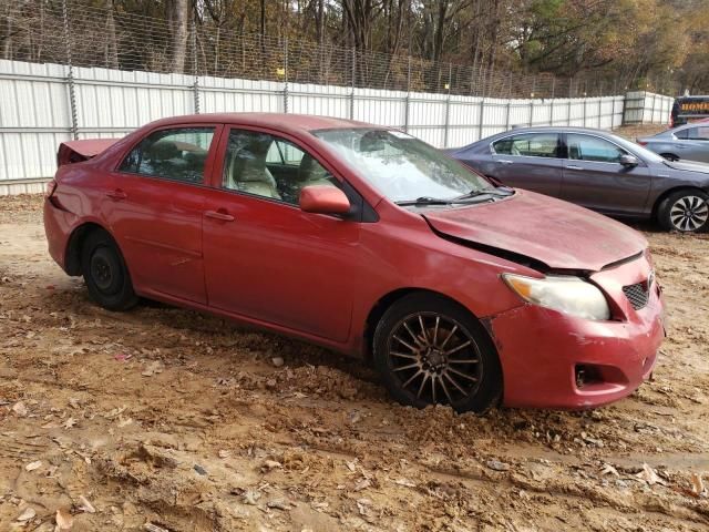 2010 Toyota Corolla Base