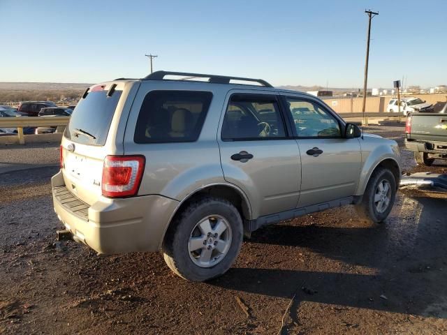 2011 Ford Escape XLT