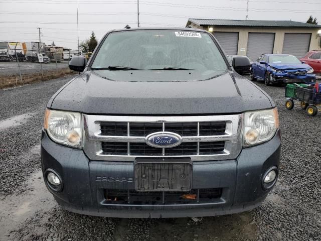 2009 Ford Escape XLT