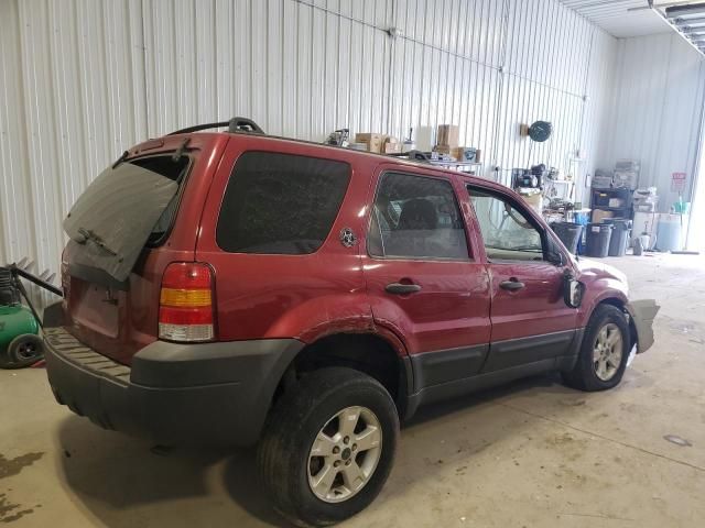 2005 Ford Escape XLT