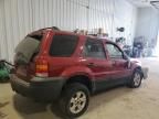 2005 Ford Escape XLT