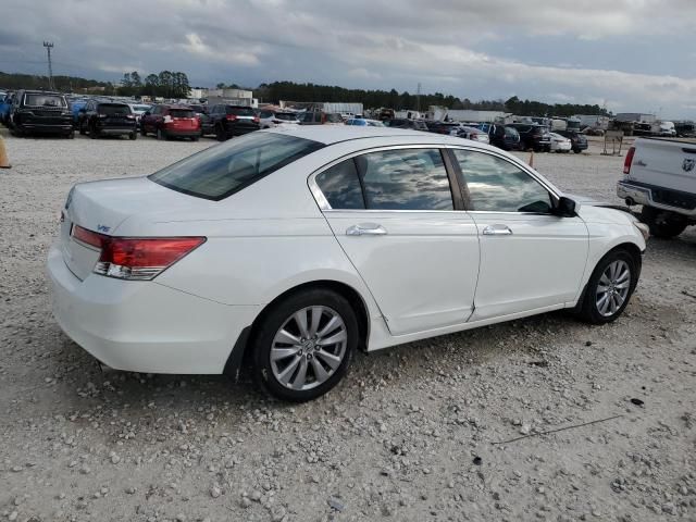 2011 Honda Accord EXL