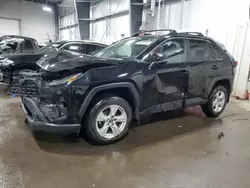 Salvage cars for sale at Ham Lake, MN auction: 2019 Toyota Rav4 XLE