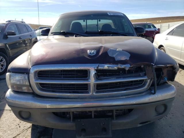 2004 Dodge Dakota SLT