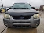 2003 Ford Escape Limited