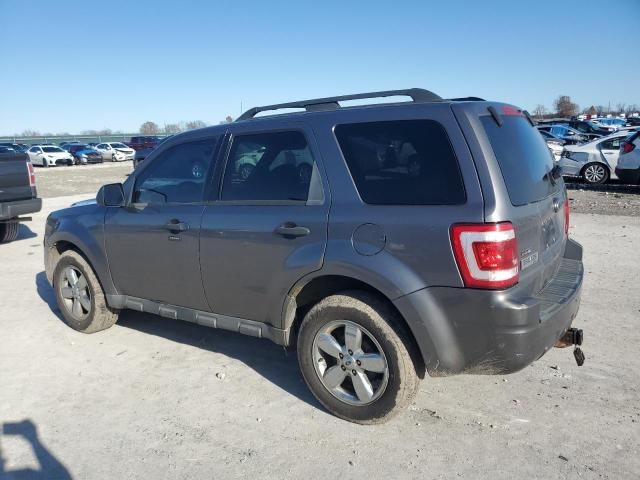 2009 Ford Escape XLT