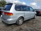 2004 Honda Odyssey EX