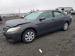 Toyota Camry Base salvage cars for sale: 2010 Toyota Camry Base